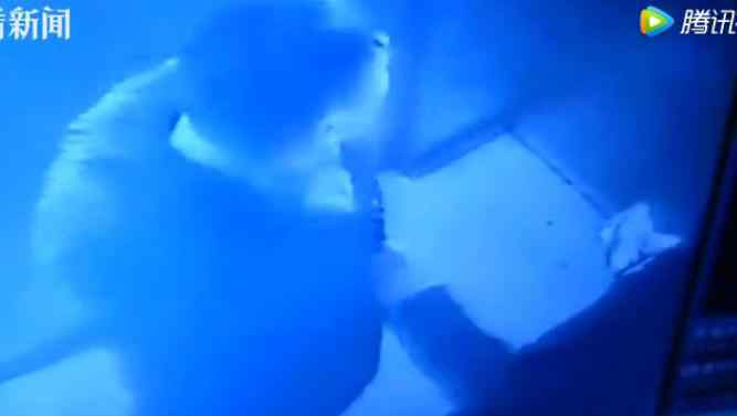 流氓男生对女生流氓 美女被男人耍流氓视频，女人喜欢流氓式的坏男人真假？文章配图
