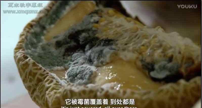 发酵制品 神奇的发酵食物，你对它知多少？
