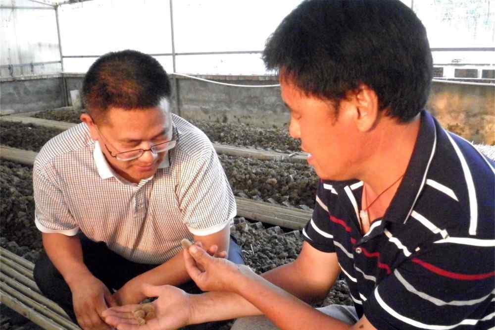 致富经一亩地赚一千万 一斤卖800元，一亩净赚4万多，农村大叔听信致富经，10万打了水漂