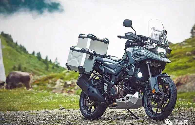 大贸 铃木新动作，2020将会引进650cc~1000cc的多款大贸车型