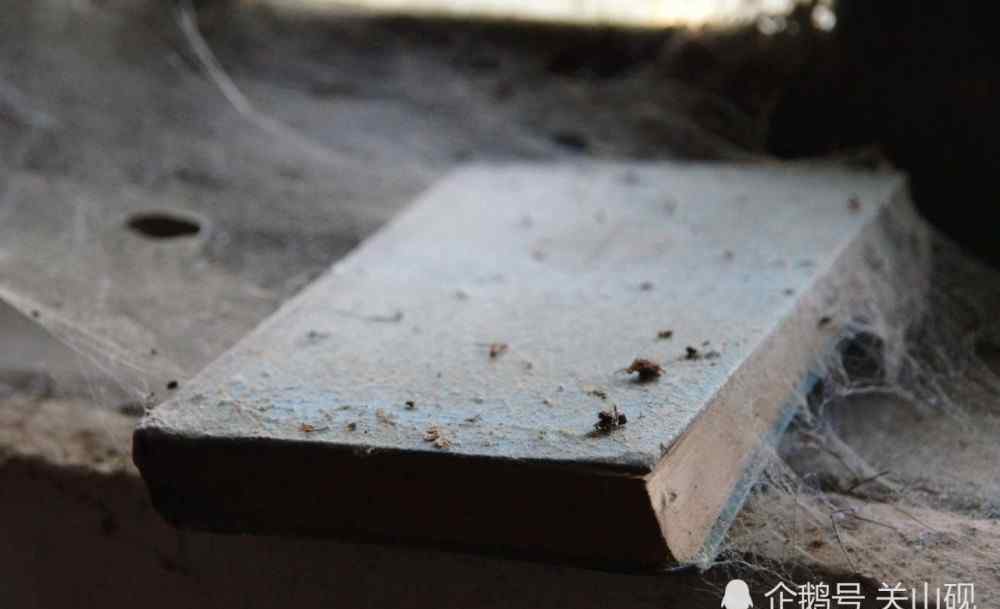 一懂事就结束 年少轻狂的好日子，一懂事就结束！已经成熟的迹象，你中了几个？