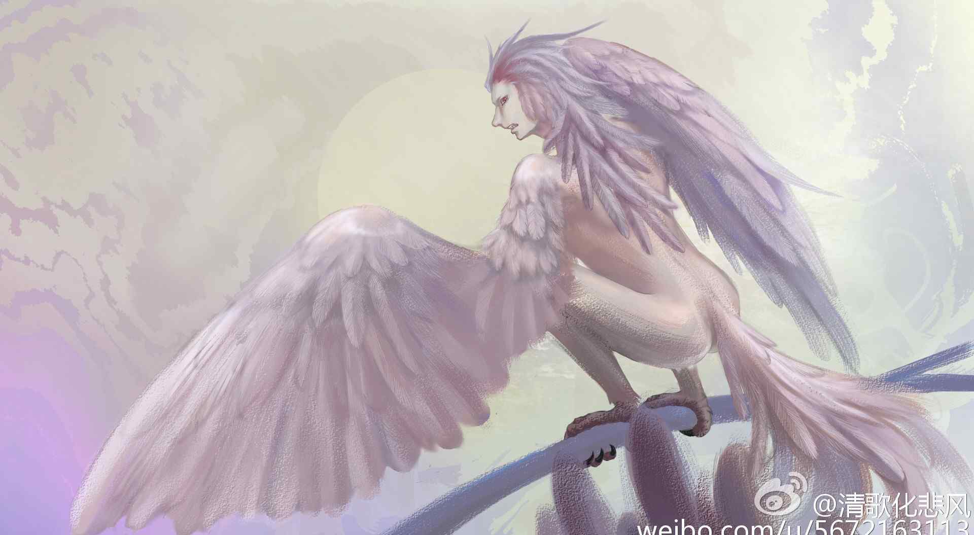 悲风大帝 悲风大帝是什么意思？悲风神教又是什么梗？