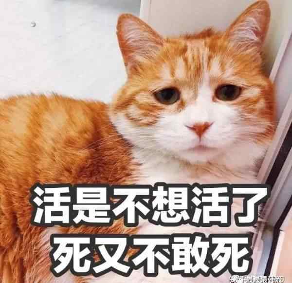 南多愿 为何艺人频频出现心理问题？文章配图