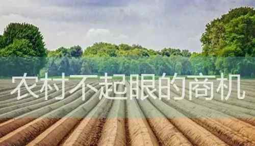 批发什么赚钱 农村不起眼的商机：批发什么去农村卖最挣钱、有销路？