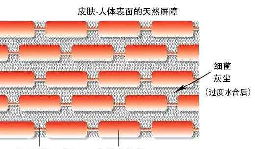 面膜一天敷几次最好 一天一片面膜？边洗澡边敷面膜？这几个敷面膜误区别再犯！