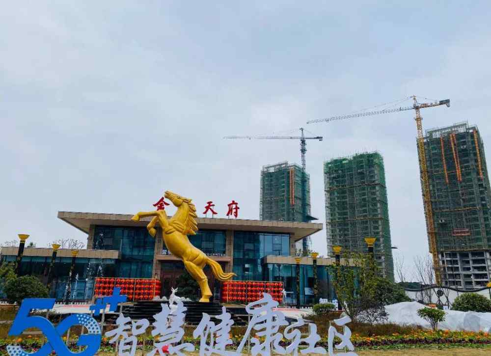 金和大厦 金和集团郑蓉：以“5G科技” 引领绵阳智慧健康人居新模式