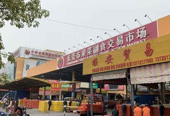 广州水果批发市场 国内排名十大水果批发市场你知道是哪些 附