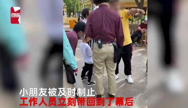 上海迪士尼噗噗熊被打 发生了什么?始末详情回顾!!
