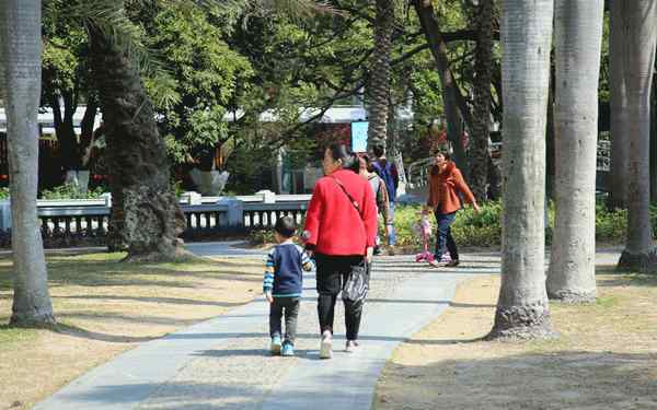 绿阳工坊 鹭岛青年吃喝玩乐回忆录