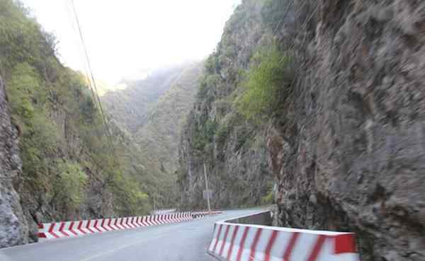 伏虎 车四十四路事件原型伏虎山车祸回顾，车四十四电影最后一笑啥意思？