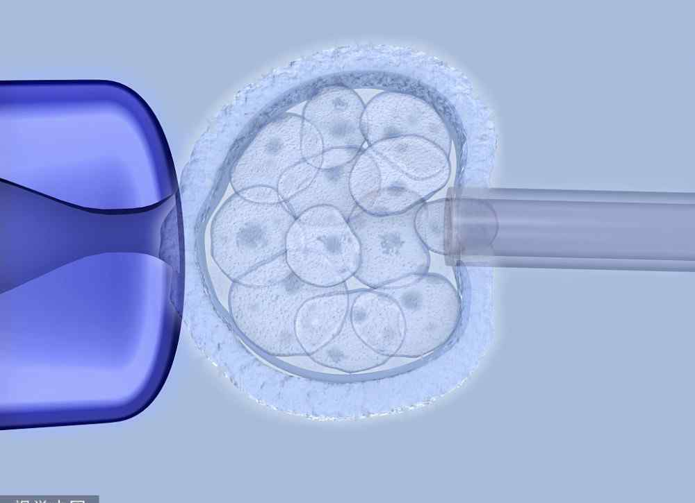 试管婴儿过程痛苦吗 试管婴儿是一个痛苦的过程吗？