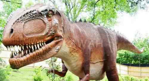 恐龙之最 恐龙时代的十大恐龙排行榜