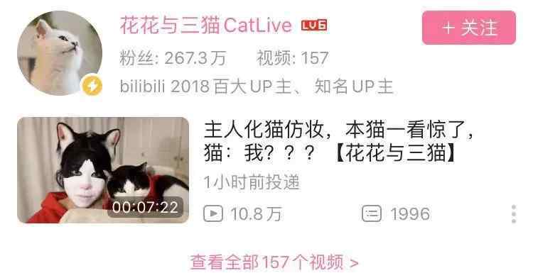 全球热恋票房 《宠爱》票房破5亿，“宠物经济”和“粉丝经济”结合下的新蓝海