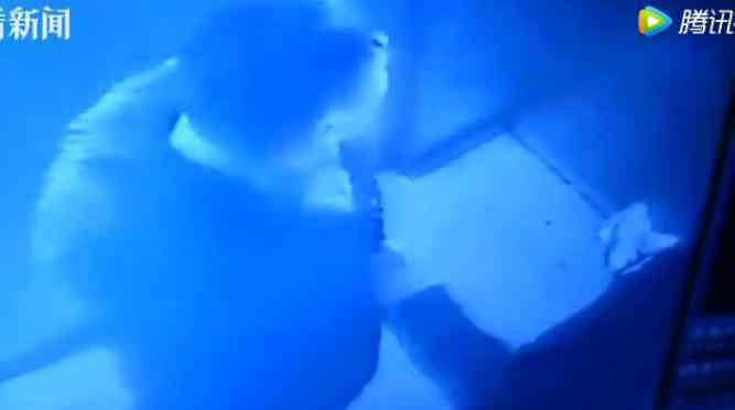 美女耍流氓 美女被男人耍流氓视频，女人喜欢流氓式的坏男人真假？美女被男人耍流氓视频，女人喜欢流氓式的坏男人真假？