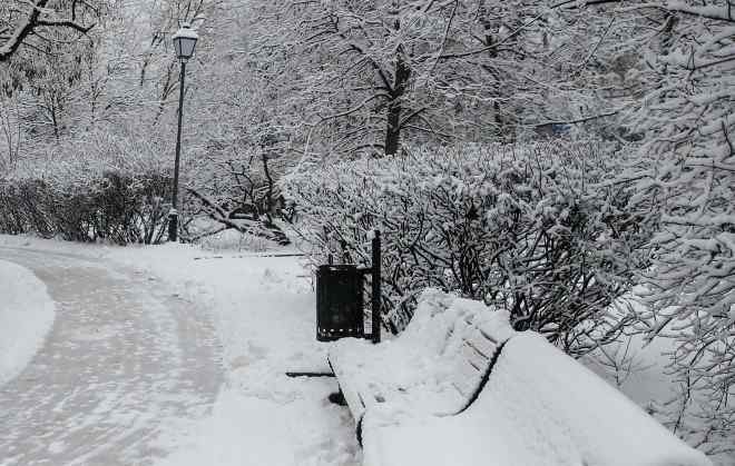 雪地上的脚印 大家小说 雪地上的脚印