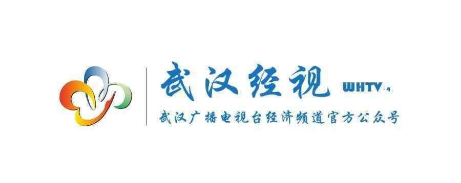 黄鹤云 她创造的这个动漫世界，走出湖北惊艳世界！