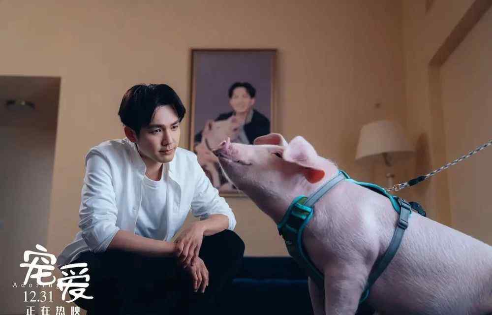 叮当猪 首映破亿，票房冠军，值得一夸的却是一只猪！
