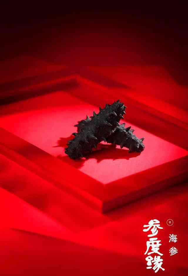 海参的营养价值 海参营养高，但你知道它的营养价值又来自哪吗？营养吃法有哪些呢？