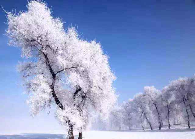 片片吹落轩辕台 白雪纷飞，这十句咏雪的名诗，写尽冬天的味道