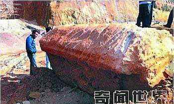 四川南充僵尸事件 05年四川南充僵尸事件，僵尸为什么害怕糯米？