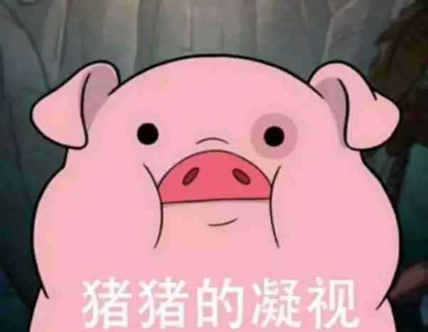 猪表情包 猪精男孩是什么梗？精致的猪猪男孩表情包大全