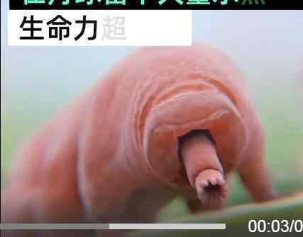 水熊虫寿命 水熊虫寿命是多少年能活10万年吗，怎么可以杀死它们