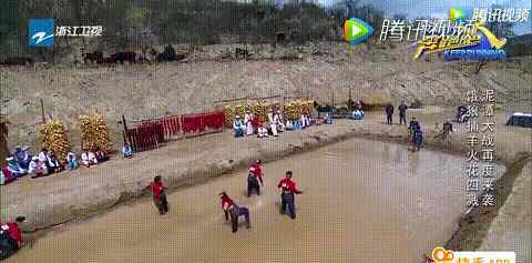 鹿晗双标鹿是什么意思 陆地夫妇，看了这些我相信鹿晗不是“双标鹿”