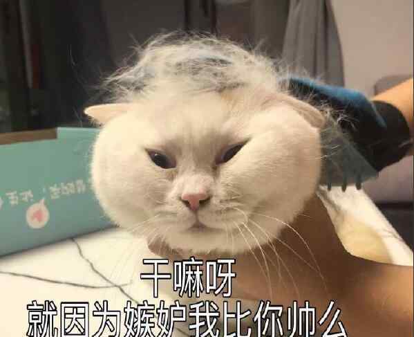 xianmu 别人说你羡慕嫉妒恨的最好回复是什么，羡慕嫉妒恨是什么心理作怪？