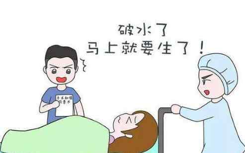 34周早产儿成活率 孕34周早产胎儿存活率高不高？