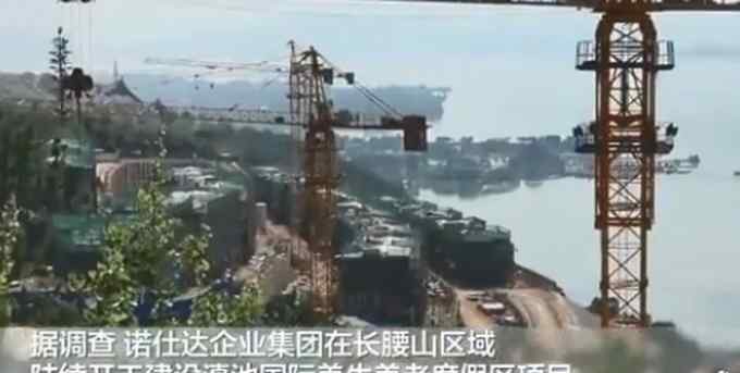 中央纪委网站曝光滇池环湖开发乱象：树枝插入浅层表土 冒充植树