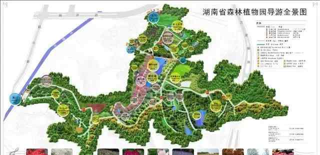长沙植物园 春色满园，待君赏玩！长沙又一免费景区恢复开园，周末预约赏花去