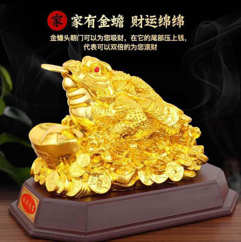 金蟾蜍 金蟾是什么动物现实中有吗，活的金蟾蜍多少钱一只？