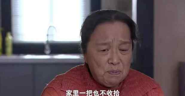 吴丽君 《双面胶》已经过去13年，现实的主人公原型，他们一家啥结局？