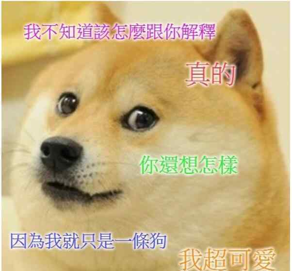 doge狗 神烦狗是什么意思，神烦狗doge为什么是精神污染？