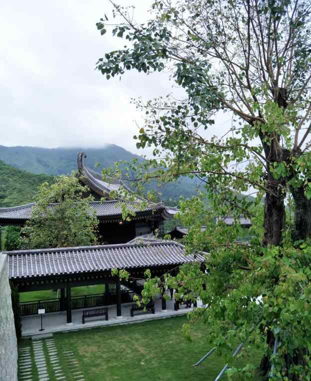 香港风水 香港慈山寺观音像有多高，慈山寺风水布局分析