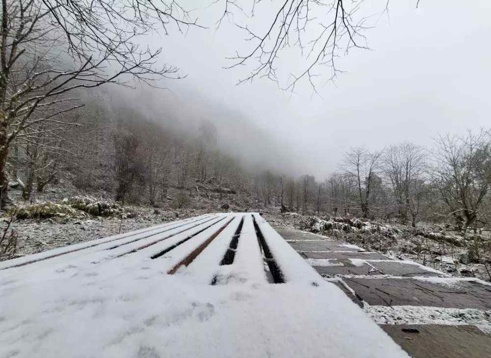 峨边黑竹沟 峨边黑竹沟终于下雪了，快来为你家乡的美景点个赞