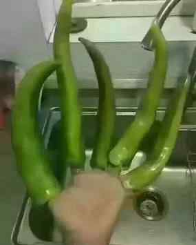 女生说的钓鱼什么意思 说女生泡椒凤爪是什么意思？说女人海王又是什么意思