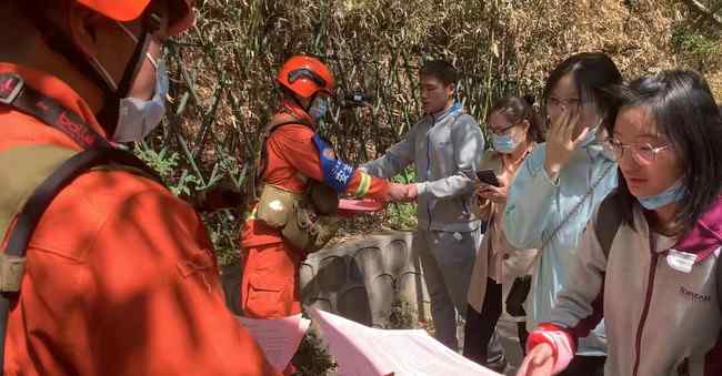 北京大风致41棵树木倒伏 究竟发生了什么?