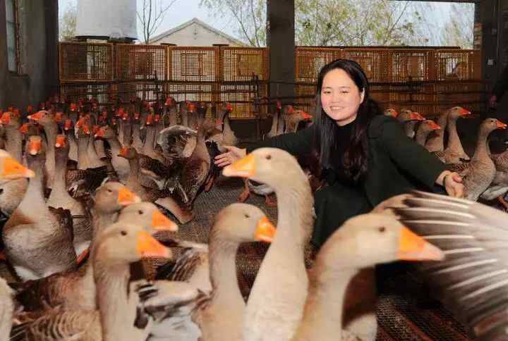 鹅主要销路 80后杭州“鹅娘”每年销售总额超过2800万元，她的秘诀是……