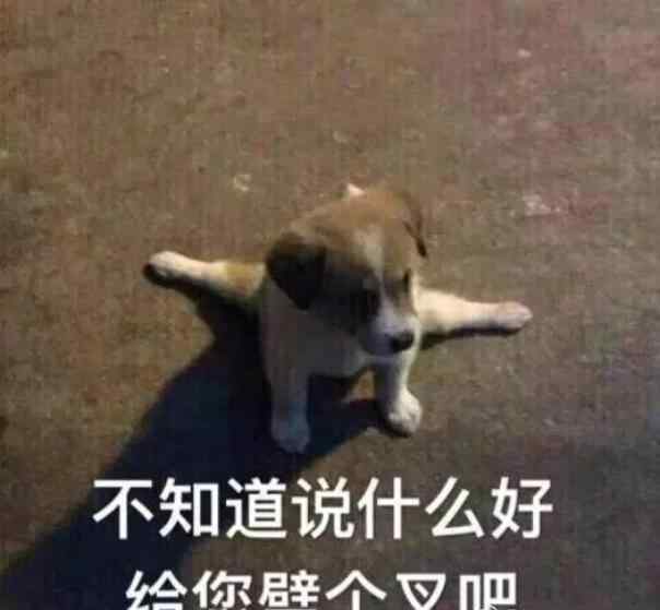 劈腿什么意思 给您劈个叉吧是什么梗，笑到劈叉是什么意思？