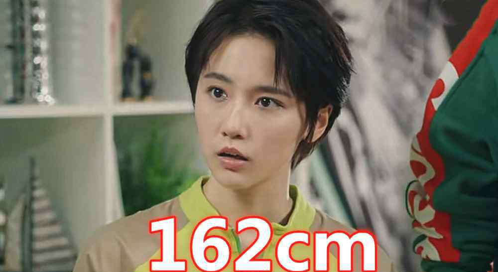爱情公寓演员表 《爱情公寓》演员身高，胡一菲168，诸葛大力162，赵海棠厉害了