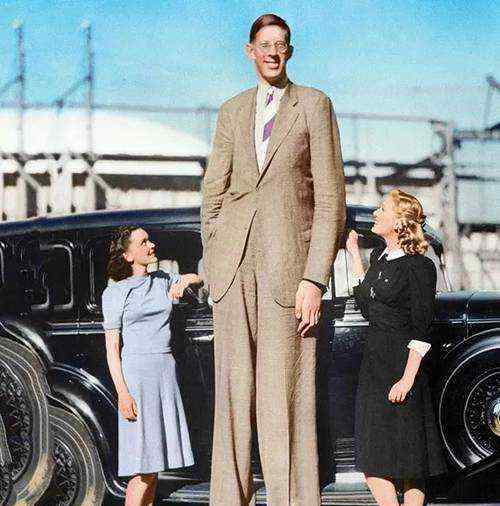 世界上最高的人是谁 世界上最高的人是谁