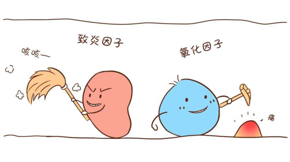 呼吸道哮喘 究竟气道是如何影响哮喘/COPD的？