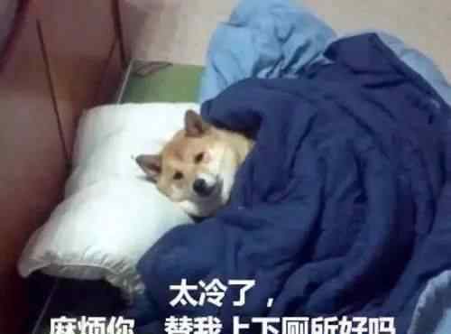 元旦几天假 元旦、春节放假通知已出，你放几天假呢？