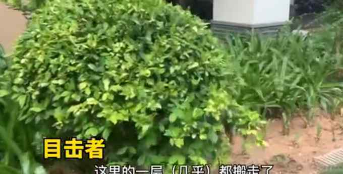 红衣女子三亚坠亡一层楼的人都搬走 有目击者一整晚不敢关灯睡觉