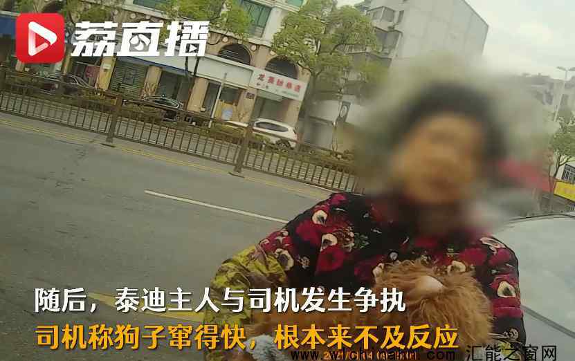 狗狗未拴绳过马路被撞死主人全责 究竟发生了什么