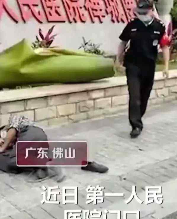 男子被一片树叶砸晕在地 啥情况?现场画面曝光!!