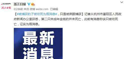 杭州第二只出逃豹子并未被咬死，官方通报被麻醉捕获 事件详细经过！