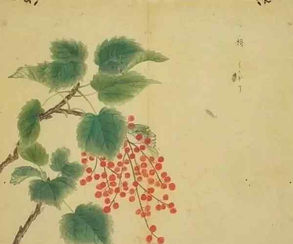 采薇节选朗读 最美诗经：《采薇》|今日朗读