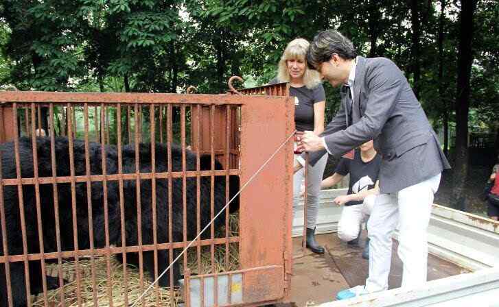 亚洲动物保护基金会 亚洲动物基金月熊爱心保护项目正式启动